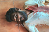 Forty year old man killed near KSRTC bus terminal